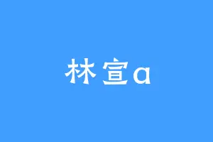 林宣a