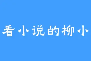 爱看小说的柳小姐