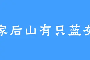我家后山有只蓝灰蝶