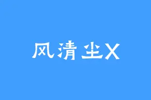 风清尘X