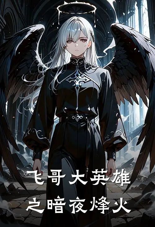 飞哥大英雄之暗夜烽火小说梁飞叶天（已完结全集完整版大结局）梁飞叶天小说全文阅读笔趣阁