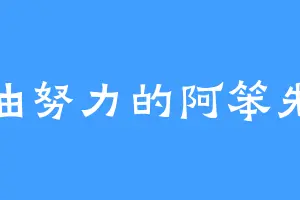 加油努力的阿笨先生