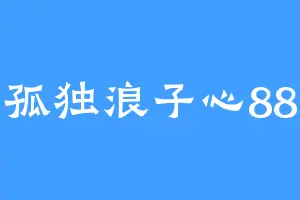 孤独浪子心88