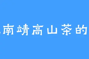 爱吃南靖高山茶的黎九