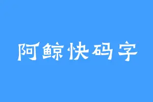 阿鲸快码字