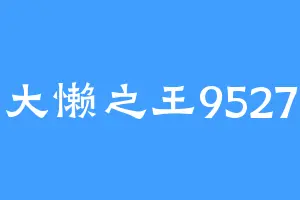 大懒之王9527