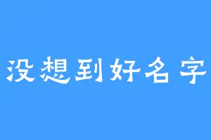 没想到好名字