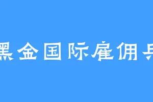 黑金国际雇佣兵