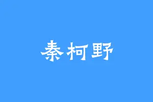 秦柯野