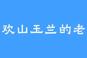 喜欢山玉兰的老张