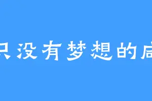 两只没有梦想的咸鱼
