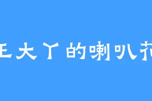 王大丫的喇叭花