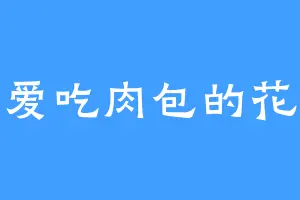 爱吃肉包的花