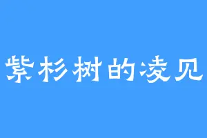 紫杉树的凌见