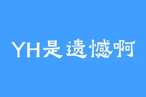 YH是遗憾啊