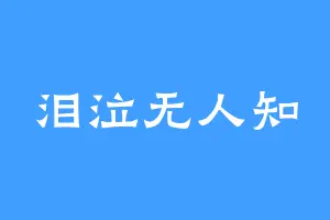 泪泣无人知