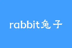 rabbit兔子