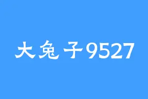 大兔子9527